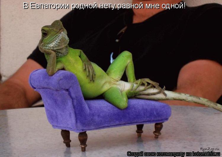В Евпатории родной нету равной мне одной!... Котоматрица: В Евпатории родной нету равной мне одной!
