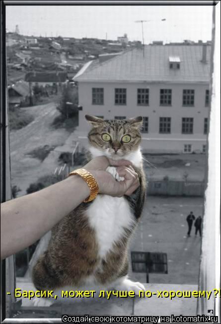 - Барсик, может лучше по-хорошему?!... Котоматрица: - Барсик, может лучше по-хорошему?!