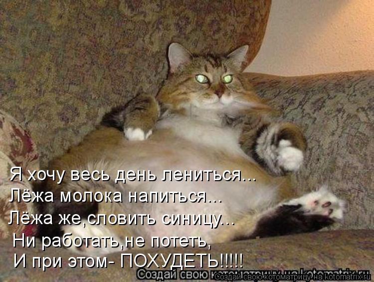 И при этом- ПОХУДЕТЬ!!!!! Ни работать,не потеть, Я хочу весь день лениться... Лёжа молока напиться...... Котоматрица: И при этом- ПОХУДЕТЬ!!!!! Ни работать,не потеть, Я хочу весь день лениться... Лёжа молока напиться... Лёжа же,словить синицу...