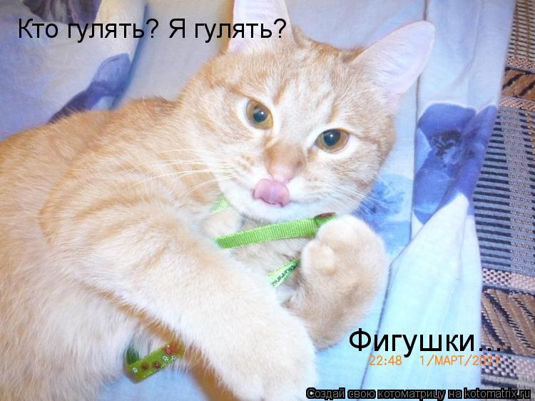 Кто гулять? Я гулять? Фигушки...... Котоматрица: Кто гулять? Я гулять? Фигушки...