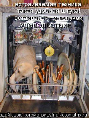 встраиваемая техника такая удобная штука! встаивайся - и получай УДОВОЛЬСТВИЕ... Котоматрица: встраиваемая техника такая удобная штука! встаивайся - и получай УДОВОЛЬСТВИЕ