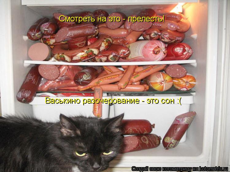 Смотреть на это - прелесть! Васькино разочерование - это сон :(... Котоматрица: Смотреть на это - прелесть! Васькино разочерование - это сон :(
