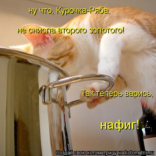 ну что, Курочка-Ряба, не снисла второго золотого! Так теперь варись, нафиг!... Котоматрица: ну что, Курочка-Ряба, не снисла второго золотого! Так теперь варись, нафиг!