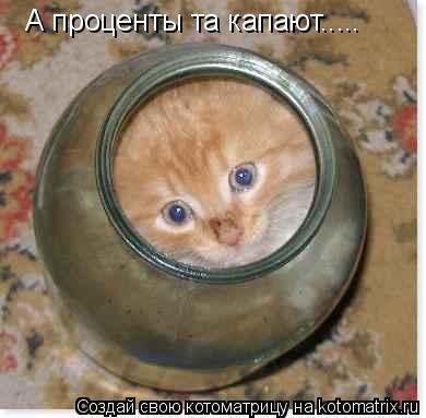 А проценты та капают........ Котоматрица: А проценты та капают.....