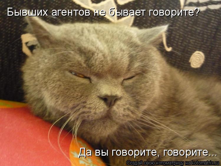 Бывших агентов не бывает говорите? Да вы говорите, говорите...... Котоматрица: Бывших агентов не бывает говорите? Да вы говорите, говорите...