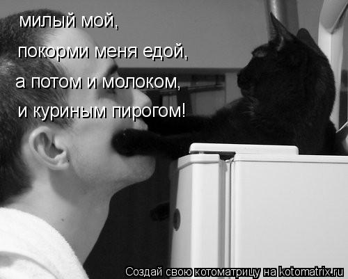 милый мой, покорми меня едой, а потом и молоком, и куриным пирогом!... Котоматрица: милый мой, покорми меня едой, а потом и молоком, и куриным пирогом!