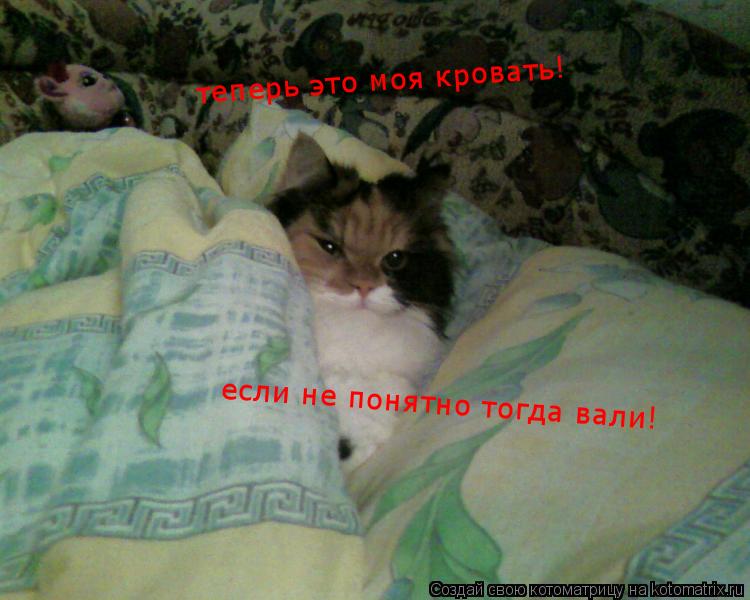 теперь это моя кровать! если не понятно тогда вали!... Котоматрица: теперь это моя кровать! если не понятно тогда вали!