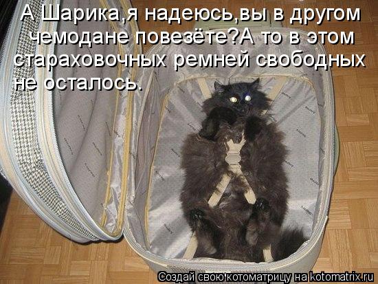 А Шарика,я надеюсь,вы в другом чемодане повезёте?А то в этом стараховочных ремней свободных не остал... Котоматрица: А Шарика,я надеюсь,вы в другом чемодане повезёте?А то в этом стараховочных ремней свободных не осталось.