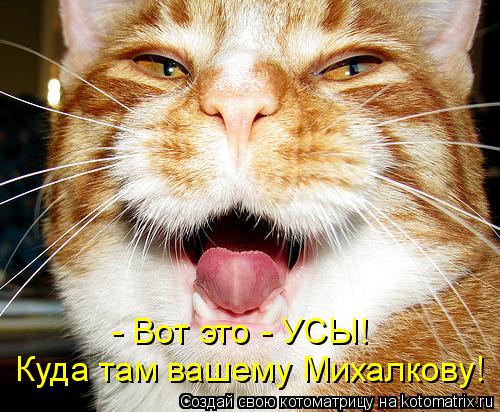 - Вот это - УСЫ! Куда там вашему Михалкову!... Котоматрица: - Вот это - УСЫ! Куда там вашему Михалкову!