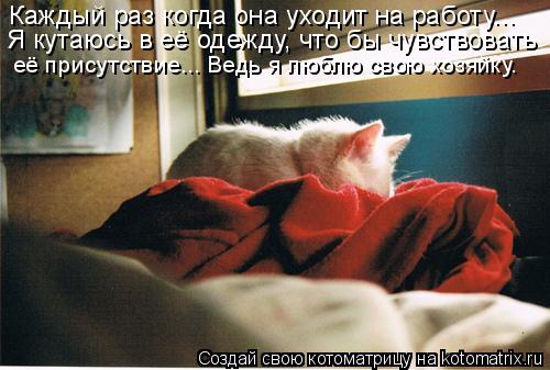 Каждый раз когда она уходит на работу... Я кутаюсь в её одежду, что бы чувствовать её присутствие...... Котоматрица: Каждый раз когда она уходит на работу... Я кутаюсь в её одежду, что бы чувствовать её присутствие... Ведь я люблю свою хозяйку.