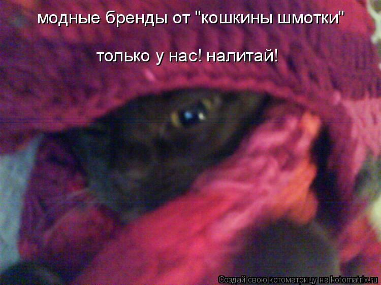 модные бренды от "кошкины шмотки" только у нас! налитай!... Котоматрица: модные бренды от "кошкины шмотки" только у нас! налитай!