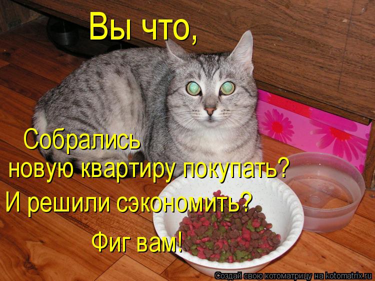 Вы что, Собрались новую квартиру покупать? И решили сэкономить? Фиг вам!... Котоматрица: Вы что, Собрались новую квартиру покупать? И решили сэкономить? Фиг вам!