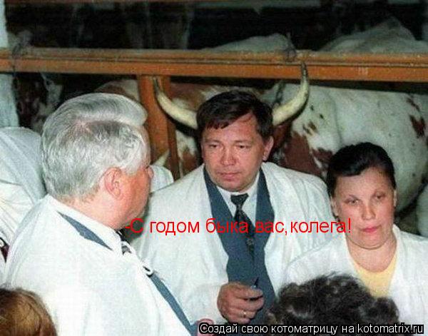 -С годом быка вас,колега!... Котоматрица: -С годом быка вас,колега!