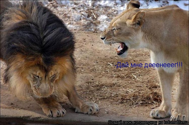 -Дай мне дееенееег!!!... Котоматрица: -Дай мне дееенееег!!!