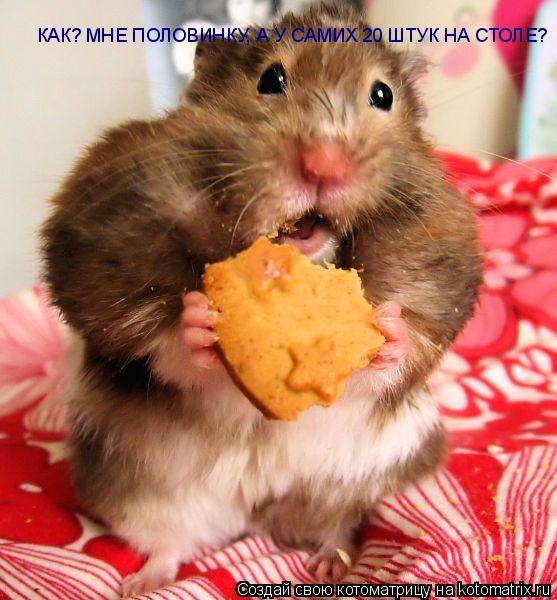 КАК? МНЕ ПОЛОВИНКУ, А У САМИХ 20 ШТУК НА СТОЛЕ?... Котоматрица: КАК? МНЕ ПОЛОВИНКУ, А У САМИХ 20 ШТУК НА СТОЛЕ?