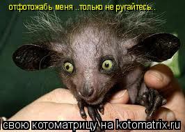 отфотожабь меня ..только не ругайтесь.. отфотожабь меня ..только не ругайтесь..... Котоматрица: отфотожабь меня ..только не ругайтесь.. отфотожабь меня ..только не ругайтесь..