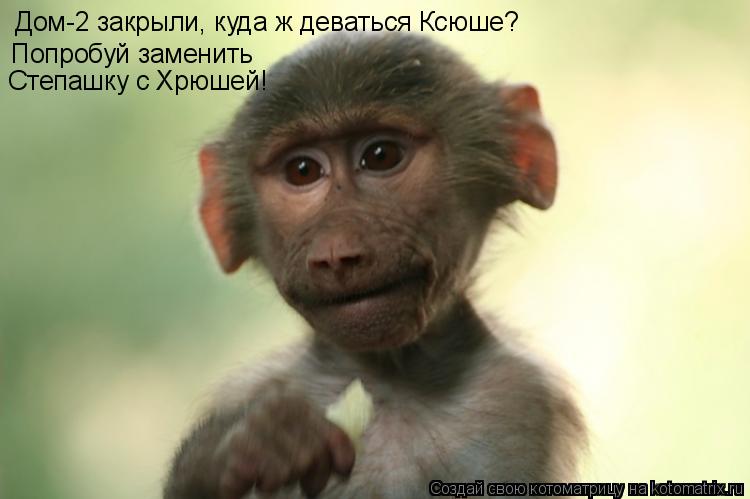 Дом-2 закрыли, куда ж деваться Ксюше? Попробуй заменить Степашку с Хрюшей!... Котоматрица: Дом-2 закрыли, куда ж деваться Ксюше? Попробуй заменить Степашку с Хрюшей!