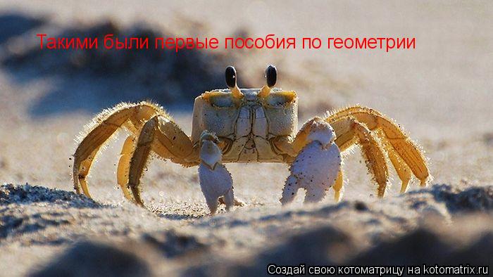 Такими были первые пособия по геометрии... Котоматрица: Такими были первые пособия по геометрии