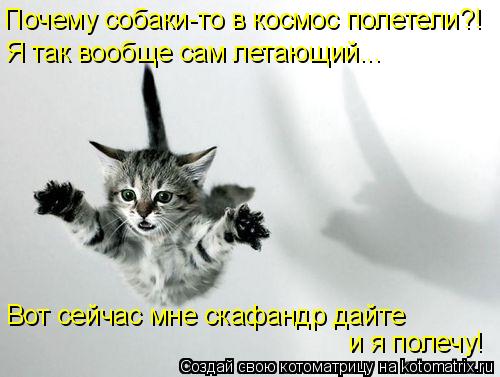 Почему собаки-то в космос полетели?! Я так вообще сам летающий... Вот сейчас мне скафандр дайте и я п... Котоматрица: Почему собаки-то в космос полетели?! Я так вообще сам летающий... Вот сейчас мне скафандр дайте и я полечу!