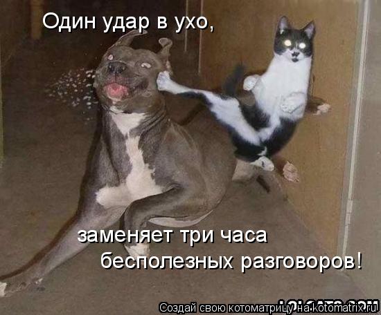Один удар в ухо, заменяет три часа бесполезных разговоров!... Котоматрица: Один удар в ухо, заменяет три часа бесполезных разговоров!