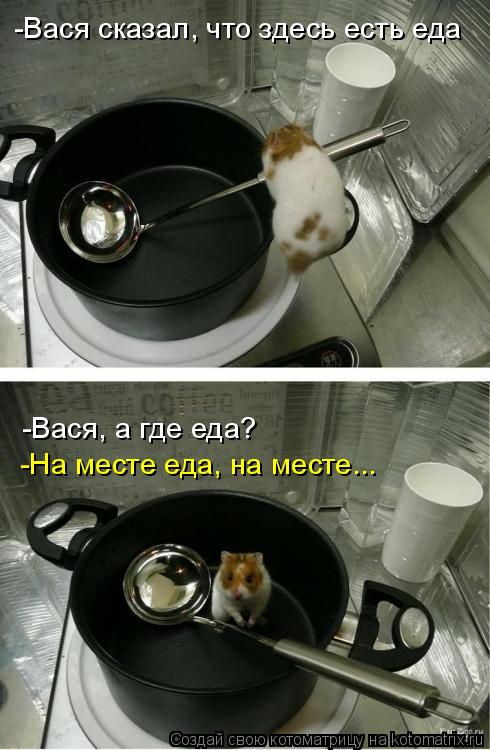 -Вася сказал, что здесь есть еда -Вася, а где еда? -На месте еда, на месте...... Котоматрица: -Вася сказал, что здесь есть еда -Вася, а где еда? -На месте еда, на месте...