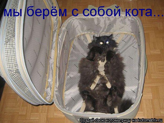 мы берём с собой кота...... Котоматрица: мы берём с собой кота...