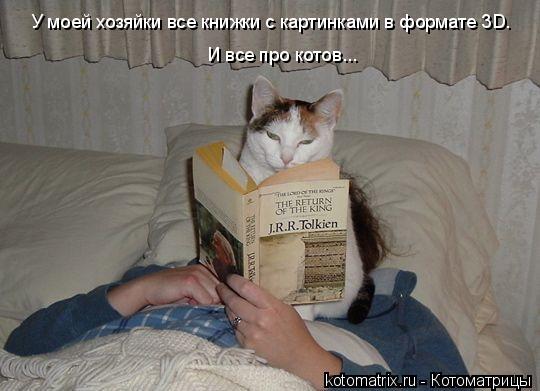 У моей хозяйки все книжки с картинками в формате 3D. И все про котов...... Котоматрица: У моей хозяйки все книжки с картинками в формате 3D. И все про котов...