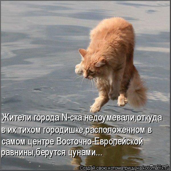 Жители города N-ска недоумевали,откуда в их тихом городишке,расположенном в самом центре Восточно-Евр... Котоматрица: Жители города N-ска недоумевали,откуда в их тихом городишке,расположенном в самом центре Восточно-Европейской равнины,берутся цунами...