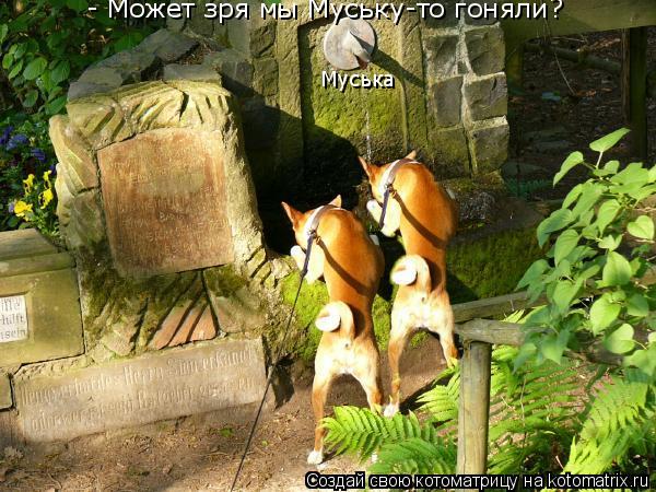 - Может зря мы Муську-то гоняли? Муська... Котоматрица: - Может зря мы Муську-то гоняли? Муська