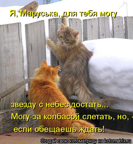 Я, Маруська, для тебя могу звезду с небес достать... Могу за колбасой слетать, но, - если обещаеш... Котоматрица: Я, Маруська, для тебя могу звезду с небес достать... Могу за колбасой слетать, но, - если обещаешь ждать!