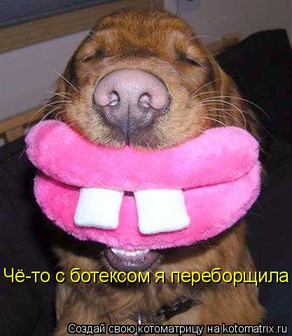 Чё-то с ботексом я переборщила... Котоматрица: Чё-то с ботексом я переборщила