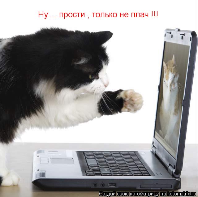 Ну ... прости , только не плач !!!... Котоматрица: Ну ... прости , только не плач !!!