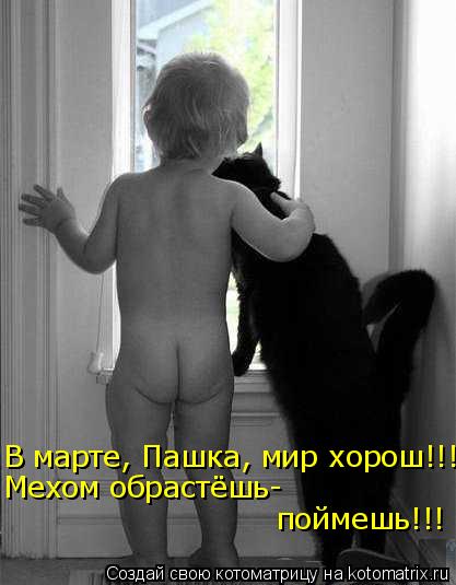 В марте, Пашка, мир хорош!!! Мехом обрастёшь- поймешь!!!... Котоматрица: В марте, Пашка, мир хорош!!! Мехом обрастёшь- поймешь!!!