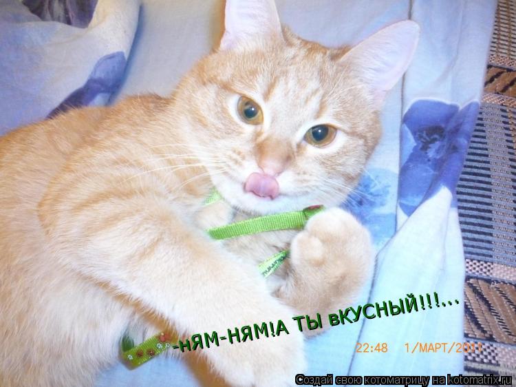 -нЯМ-НЯМ!А ТЫ вКУСНЫЙ!!!...... Котоматрица: -нЯМ-НЯМ!А ТЫ вКУСНЫЙ!!!...