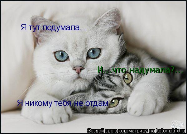 Я тут подумала... И...что надумала?... И...что надумала?... Я никому тебя не отдам... Котоматрица: Я тут подумала... И...что надумала?... И...что надумала?... Я никому тебя не отдам