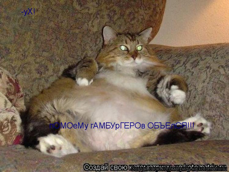 -уХ! пОМОеМу гАМБУрГЕРОв ОБЪЕлСЯ!!!... Котоматрица: -уХ! пОМОеМу гАМБУрГЕРОв ОБЪЕлСЯ!!!