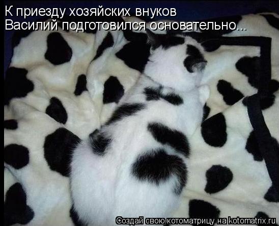 Котоматрица: К приезду хозяйских внуков Василий подготовился основательно...