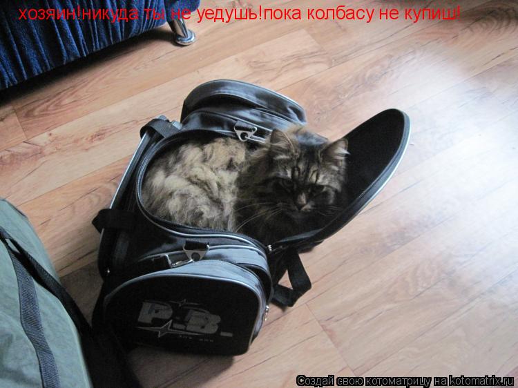 хозяин!никуда ты не уедушь!пока колбасу не купиш!... Котоматрица: хозяин!никуда ты не уедушь!пока колбасу не купиш!