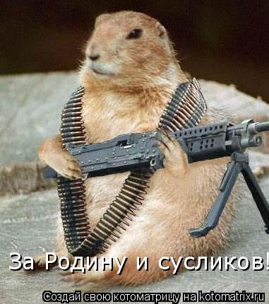 За Родину и сусликов!!!... Котоматрица: За Родину и сусликов!!!