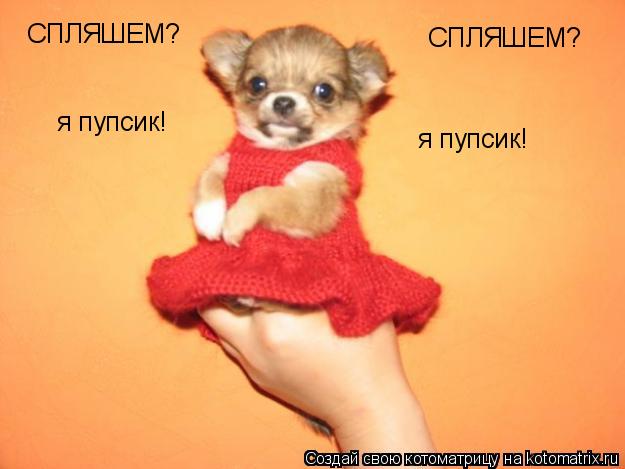 СПЛЯШЕМ? СПЛЯШЕМ? я пупсик! я пупсик!... Котоматрица: СПЛЯШЕМ? СПЛЯШЕМ? я пупсик! я пупсик!