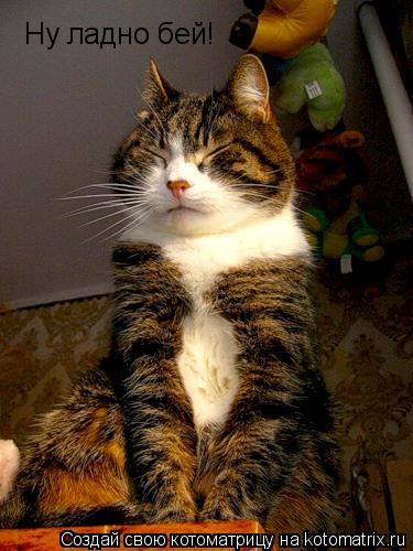 Ну ладно бей!... Котоматрица: Ну ладно бей!