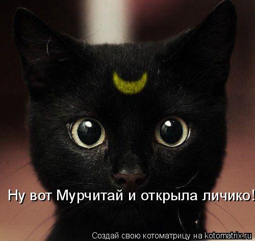 Ну вот Мурчитай и открыла личико!... Котоматрица: Ну вот Мурчитай и открыла личико!