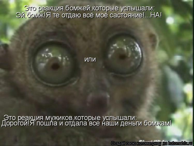 Это реакция мужиков,которые услышали: Дорогой!Я пошла и отдала все наши деньги бомжам! или Это реакци... Котоматрица: Это реакция мужиков,которые услышали: Дорогой!Я пошла и отдала все наши деньги бомжам! или Это реакция бомжей,которые услышали: Эй,бомж!Я те