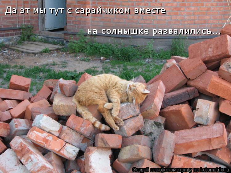 Да эт мы тут с сарайчиком вместе на солнышке развалились...... Котоматрица: Да эт мы тут с сарайчиком вместе на солнышке развалились...