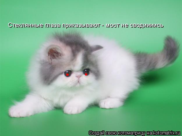 . . Стеклянные глаза приказывают - мост не сводиииись... Котоматрица: . . Стеклянные глаза приказывают - мост не сводиииись