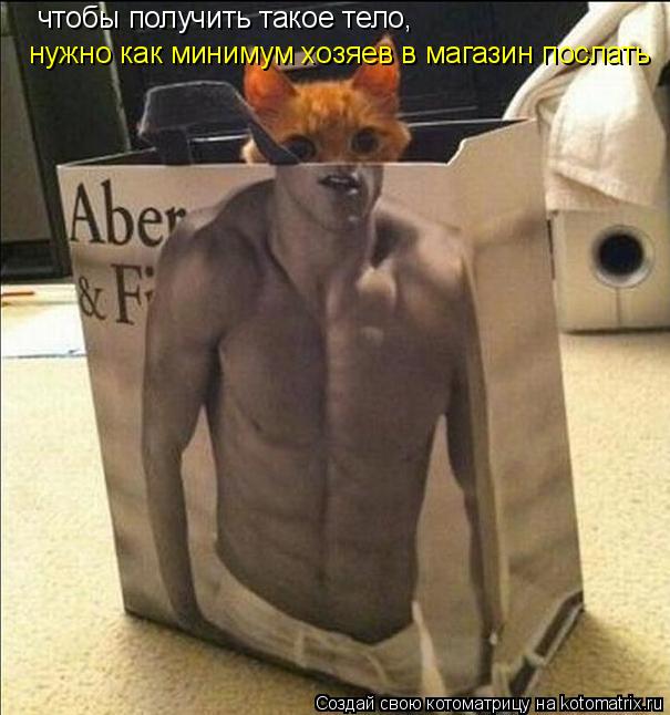чтобы получить такое тело, нужно как минимум хозяев в магазин послать... Котоматрица: чтобы получить такое тело, нужно как минимум хозяев в магазин послать