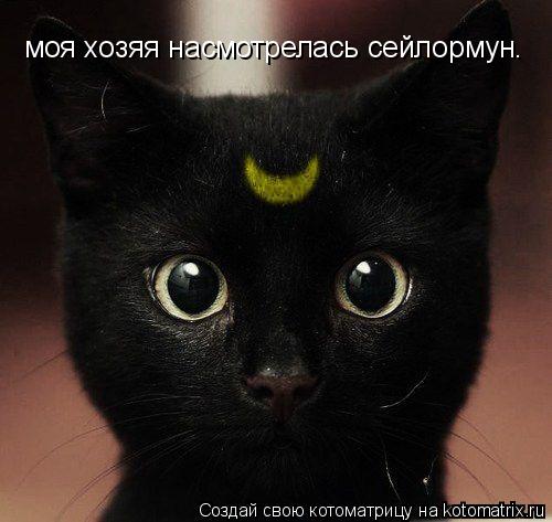моя хозяя насмотрелась сейлормун.... Котоматрица: моя хозяя насмотрелась сейлормун.
