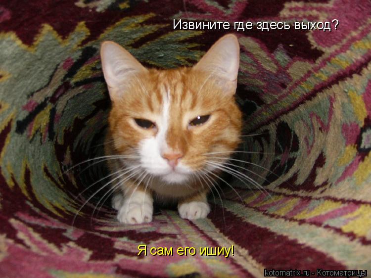 Извините где здесь выход? Я сам его ишиу!... Котоматрица: Извините где здесь выход? Я сам его ишиу!