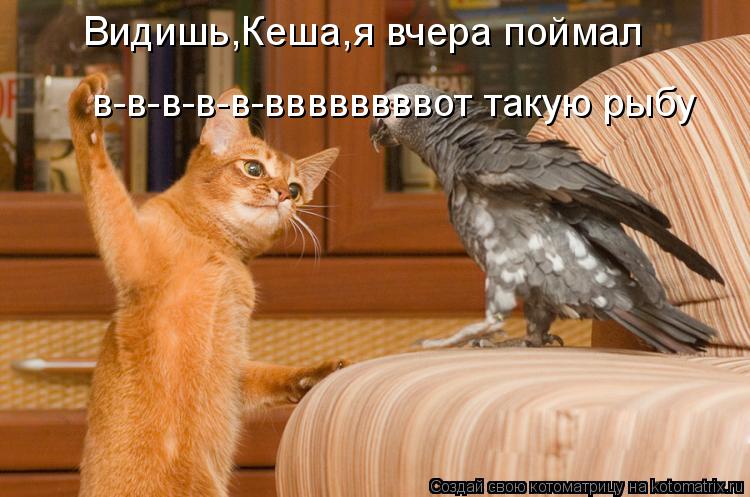 Видишь,Кеша,я вчера поймал в-в-в-в-в-ввввввввот такую рыбу... Котоматрица: Видишь,Кеша,я вчера поймал в-в-в-в-в-ввввввввот такую рыбу