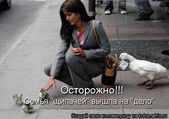 Семья "щипачей" вышла на "дело" Осторожно!!!... Котоматрица: Семья "щипачей" вышла на "дело" Осторожно!!!